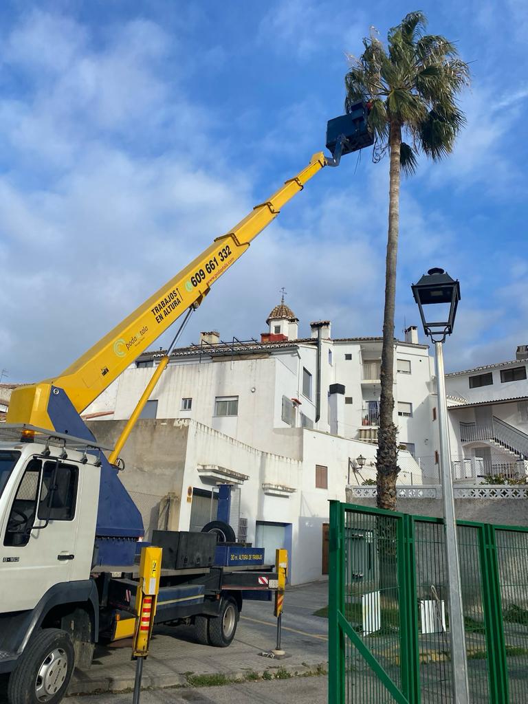 Poda y Tala camión cesta Poda y Tala, profesional podador en la provincia de Valencia