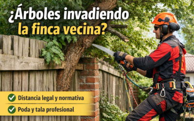 Artículo 591 y 592 del Código Civil: distancia de árboles, ramas y raíces entre vecinos